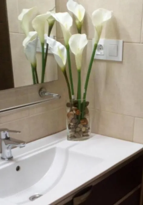 Apto Patio Andaluz. Máximo Confort y Limpieza Cádiz Apartamento